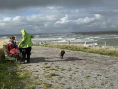 Rejoining the coast